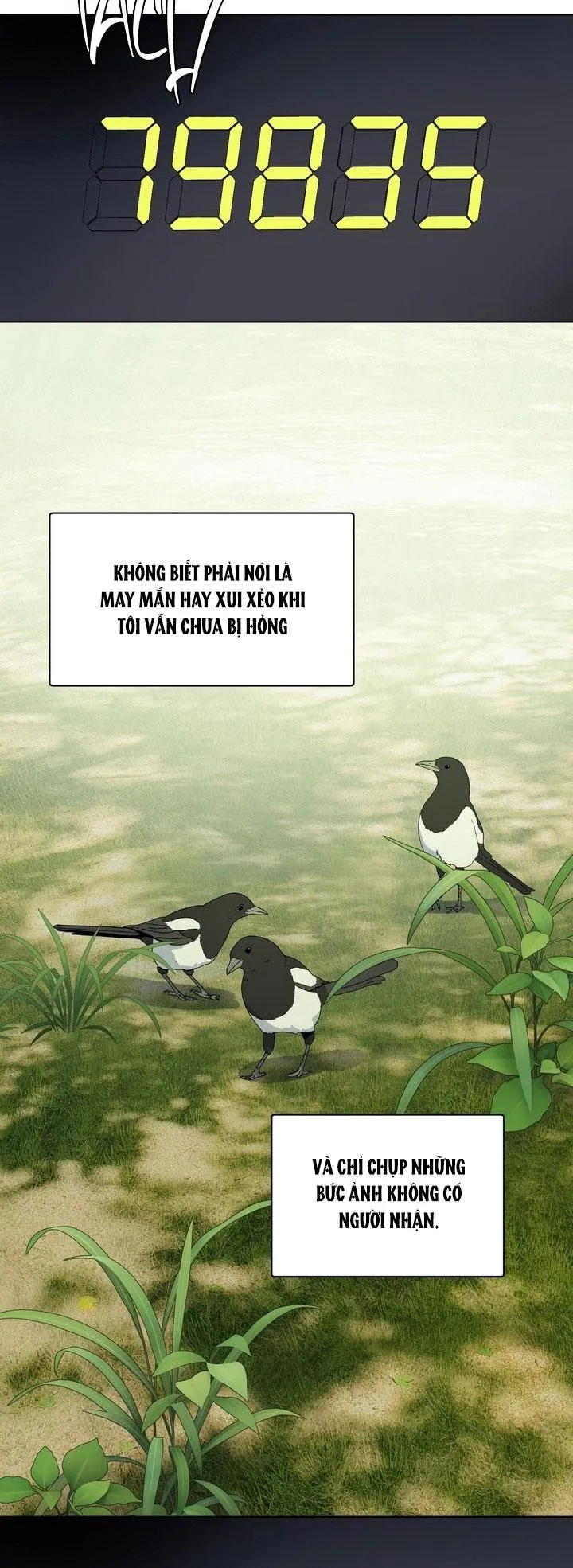 Room Without Windows Chapter 17 Trang 18