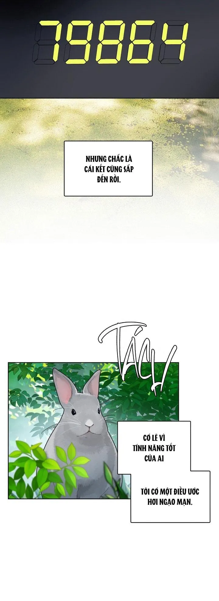 Room Without Windows Chapter 17 Trang 19