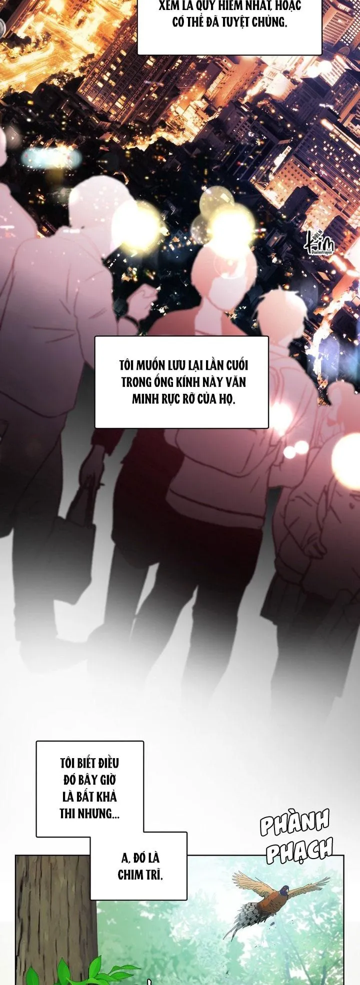 Room Without Windows Chapter 17 Trang 21