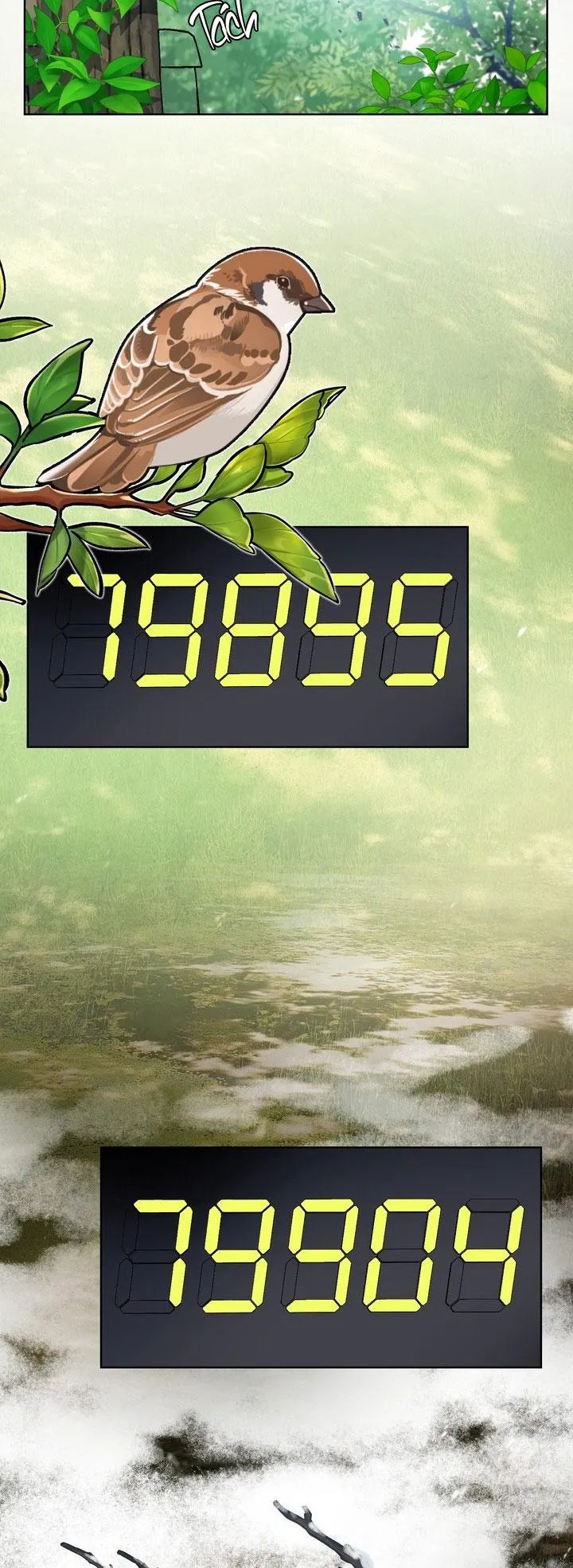 Room Without Windows Chapter 17 Trang 22