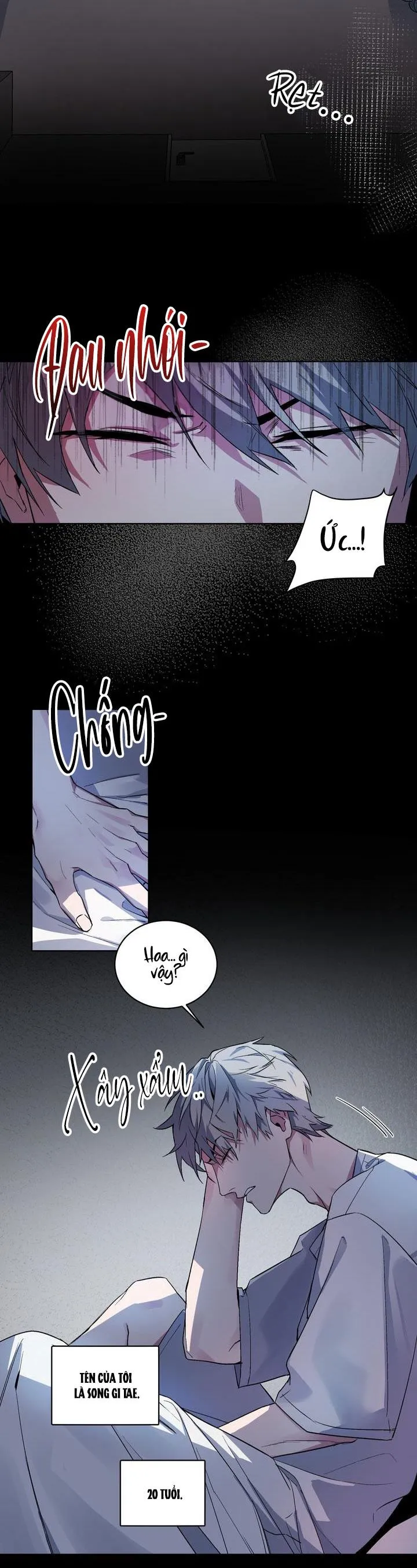 Room Without Windows Chapter 1 Trang 3