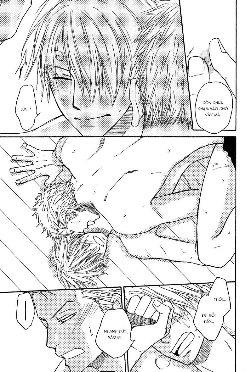 Roronoa Zoro X Sanji One Piece dj Chapter 15 Trang 5