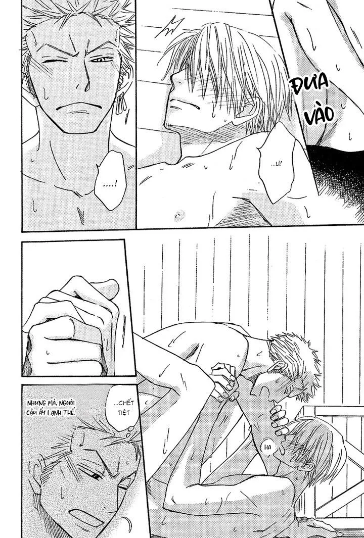 Roronoa Zoro X Sanji One Piece dj Chapter 15 Trang 6