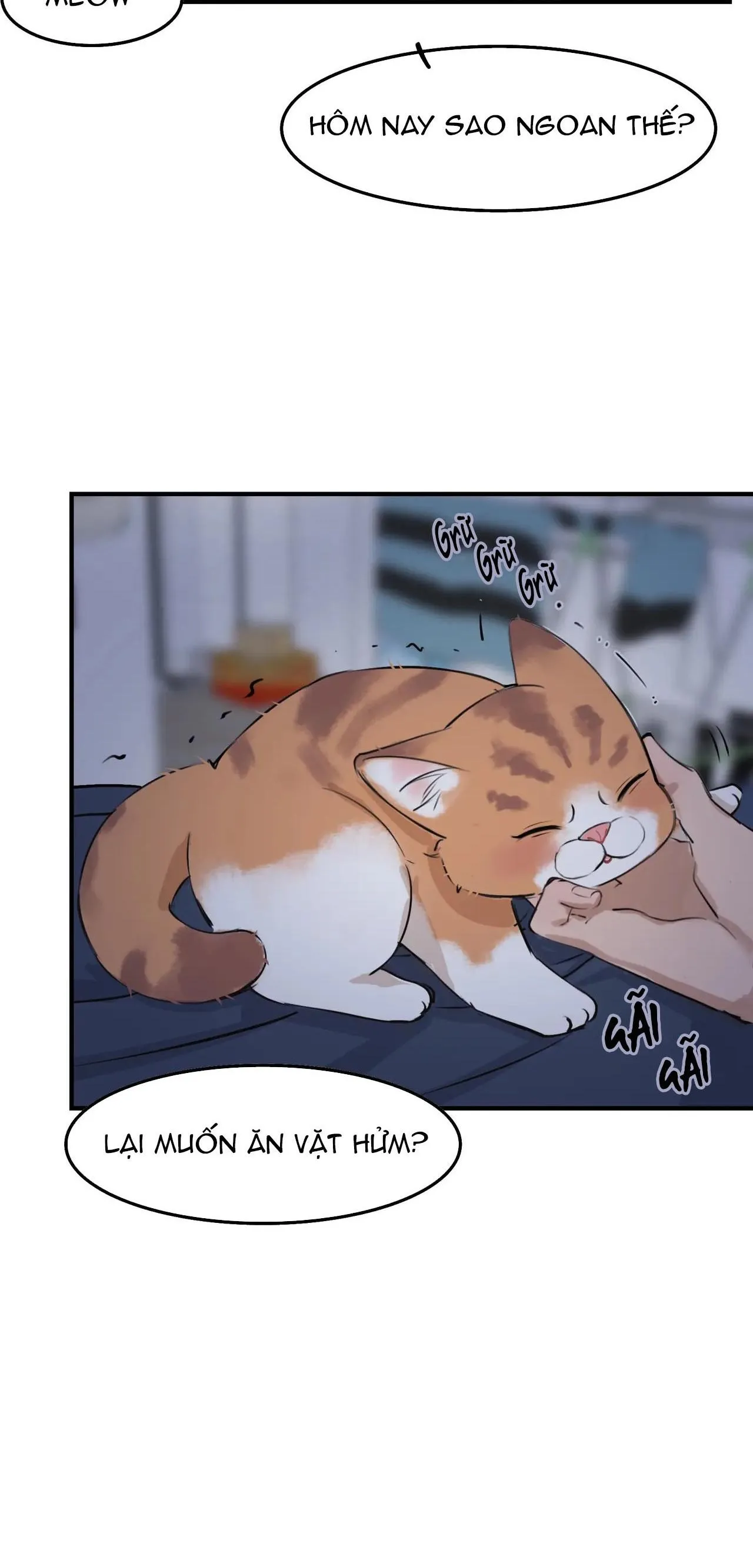 Rốt Cuộc Mèo Con Đang Nghĩ Gì Thế? Chapter 4 Trang 13