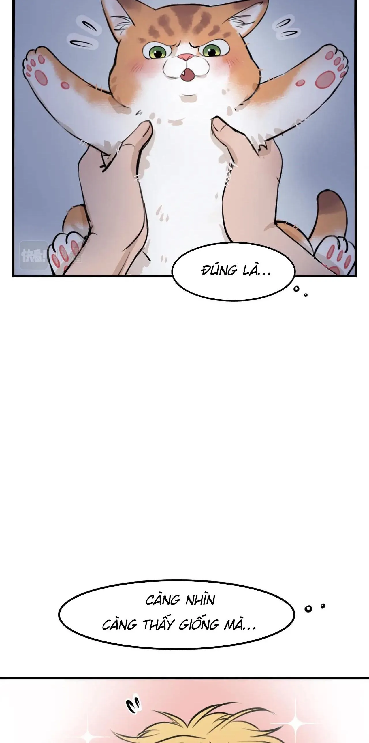 Rốt Cuộc Mèo Con Đang Nghĩ Gì Thế? Chapter 4 Trang 16