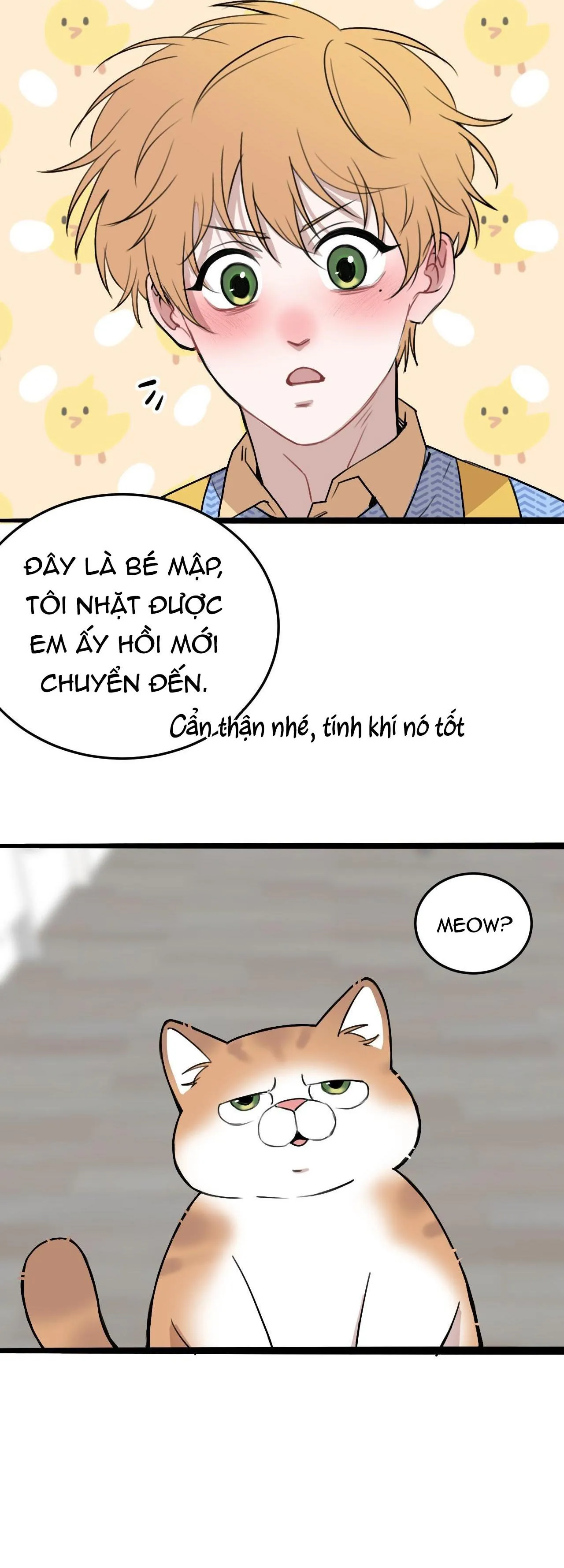 Rốt Cuộc Mèo Con Đang Nghĩ Gì Thế? Chapter 11 Trang 6