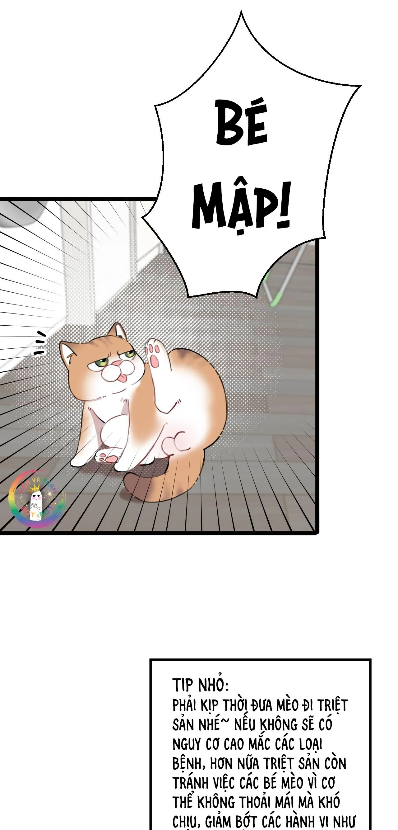 Rốt Cuộc Mèo Con Đang Nghĩ Gì Thế? Chapter 14 Trang 14