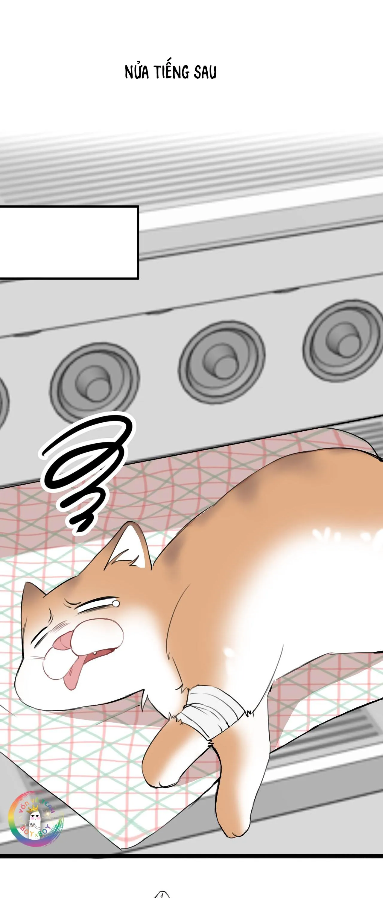Rốt Cuộc Mèo Con Đang Nghĩ Gì Thế? Chapter 14 Trang 23