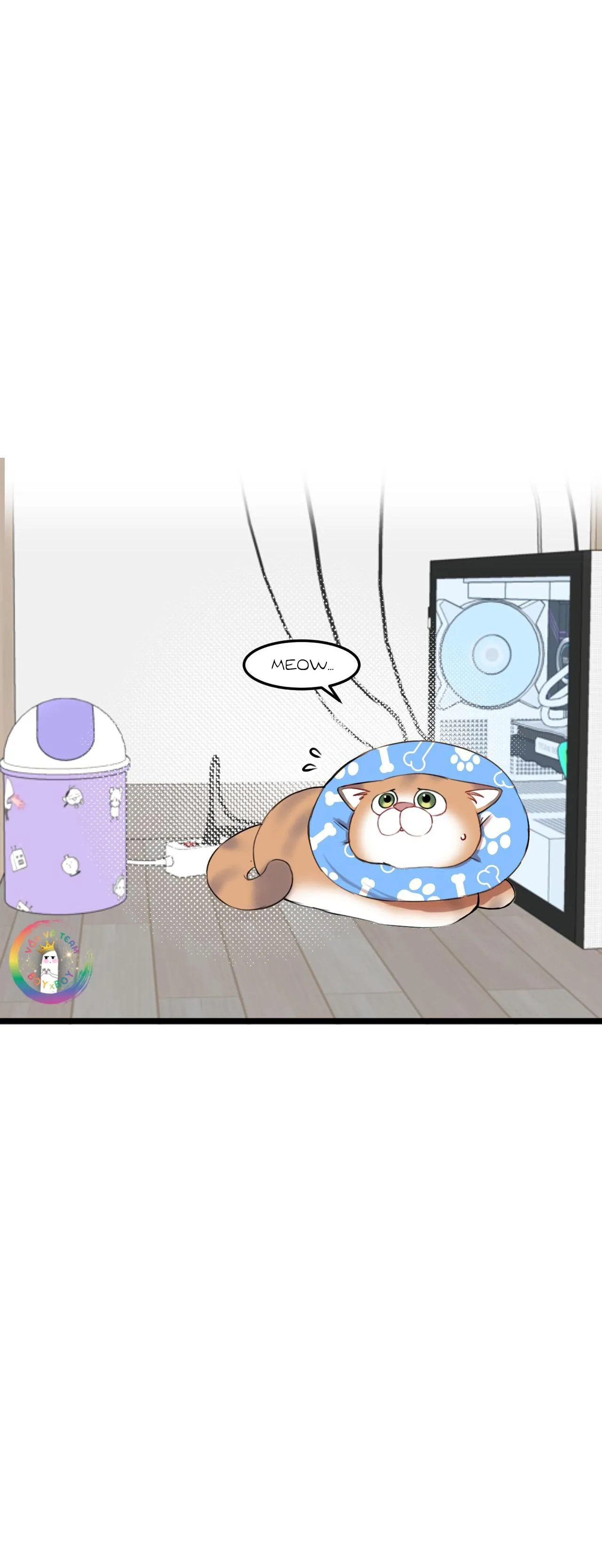 Rốt Cuộc Mèo Con Đang Nghĩ Gì Thế? Chapter 15 Trang 11