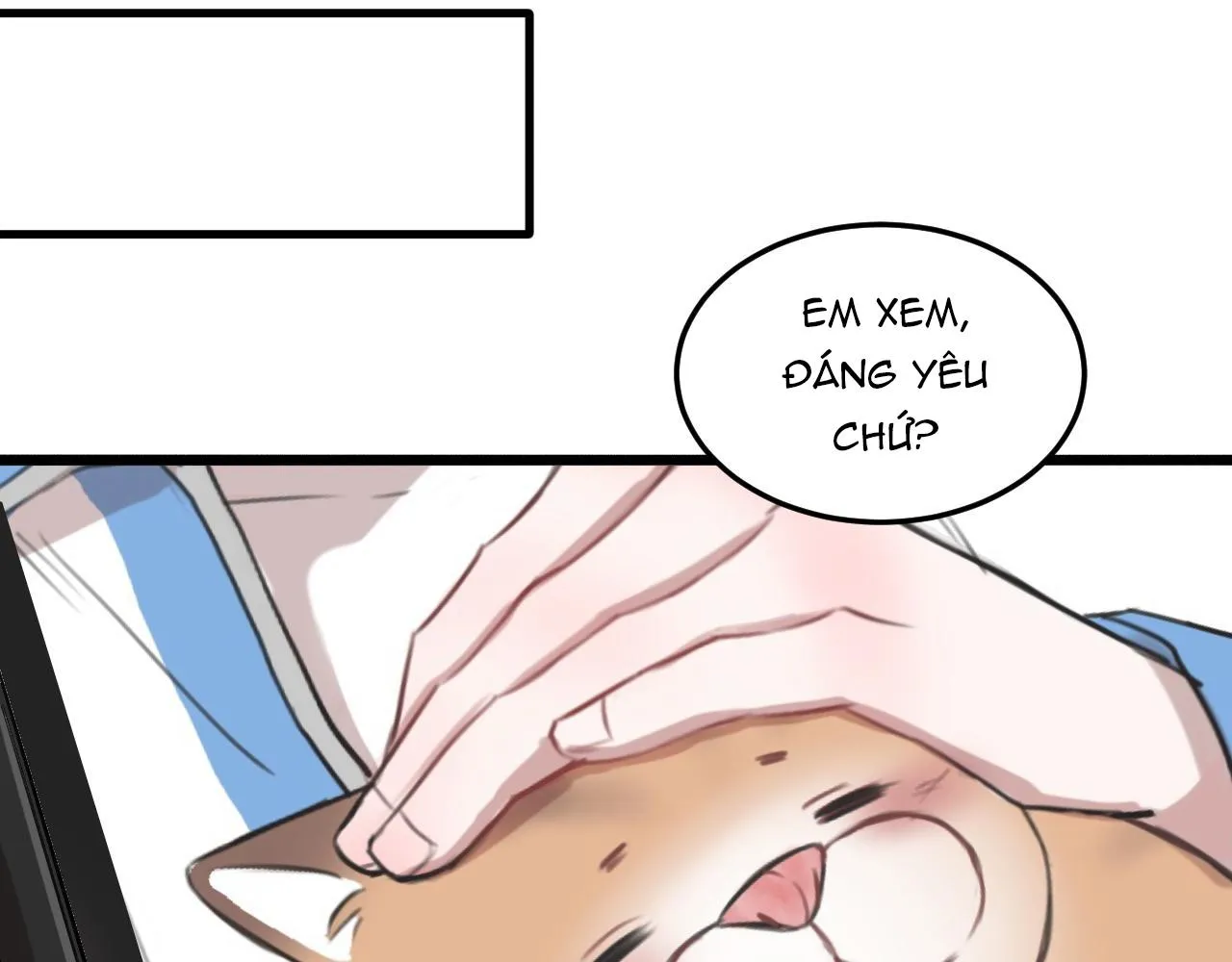 Rốt Cuộc Mèo Con Đang Nghĩ Gì Thế? Chapter 16 Trang 52