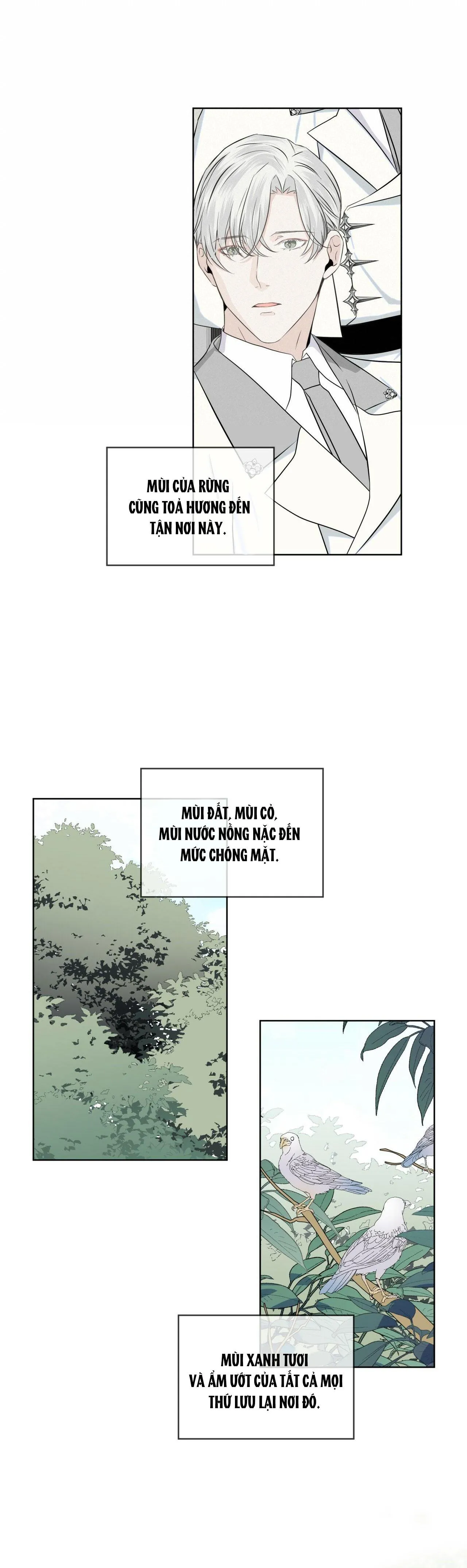 Rừng Biển Chapter 4 Trang 17