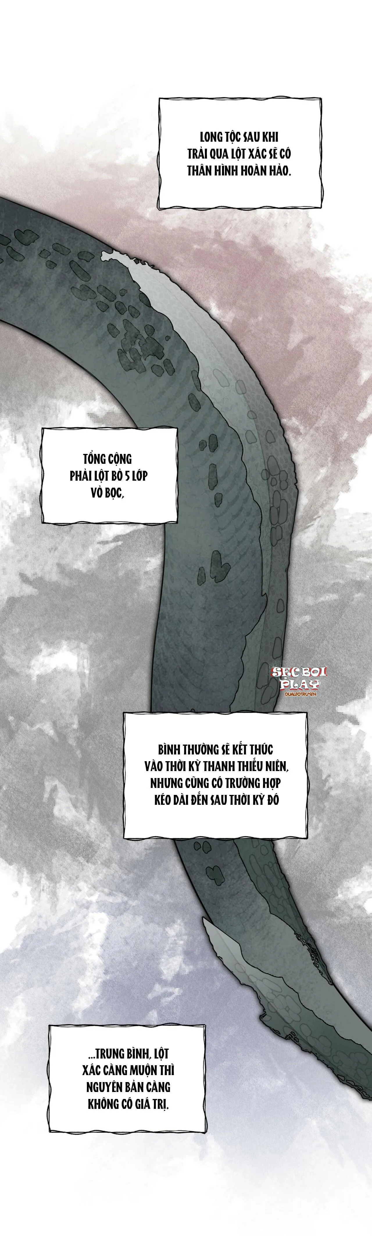 Rừng Biển Chapter 5 Trang 11