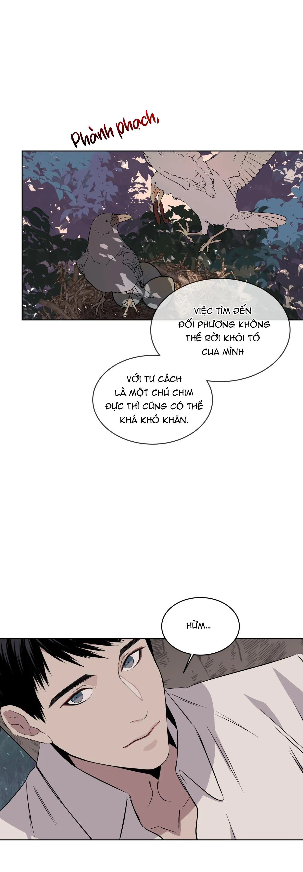 Rừng Biển Chapter 16 Trang 25