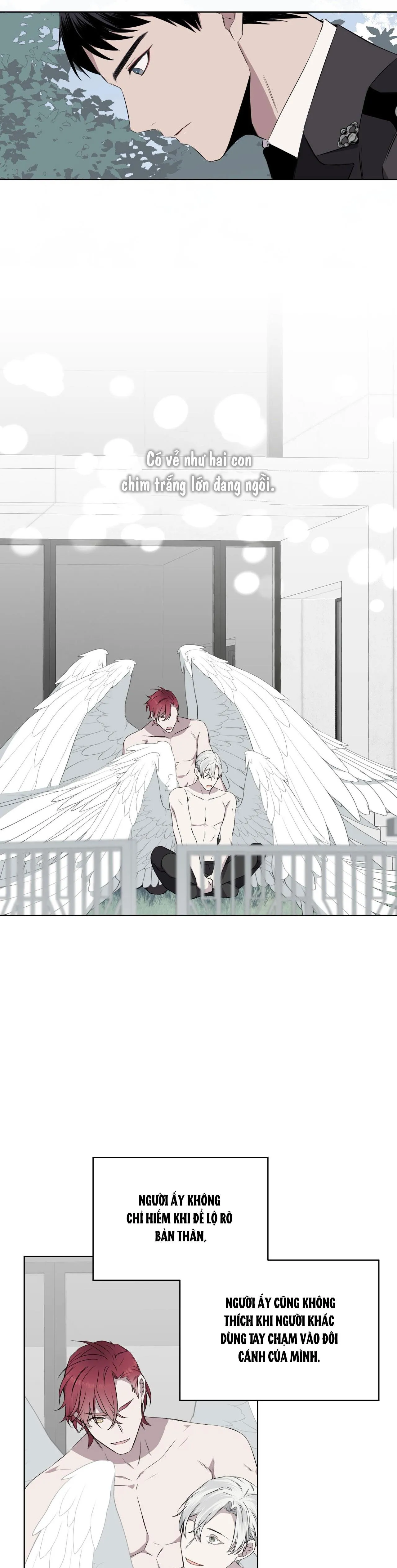 Rừng Biển Chapter 22 Trang 27