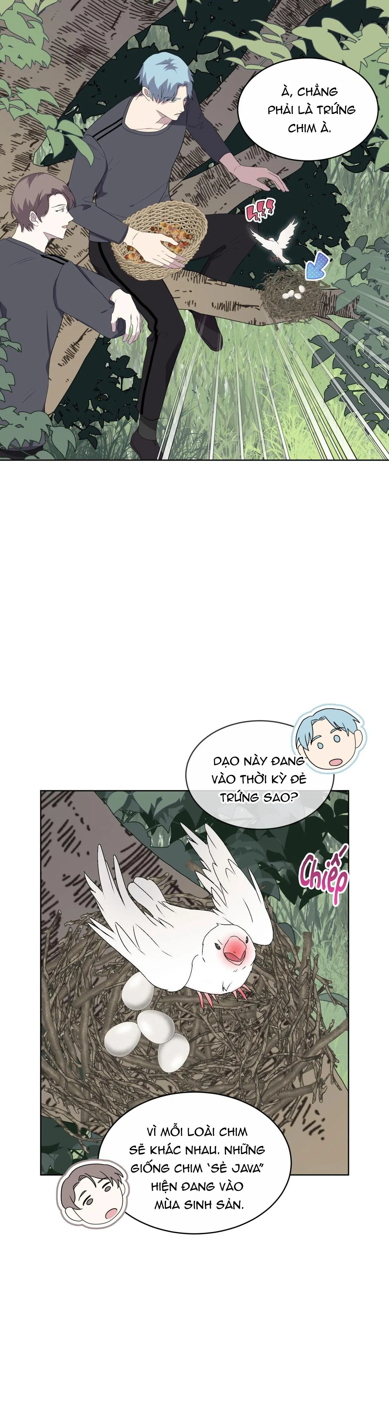 Rừng Biển Chapter 24 Trang 4