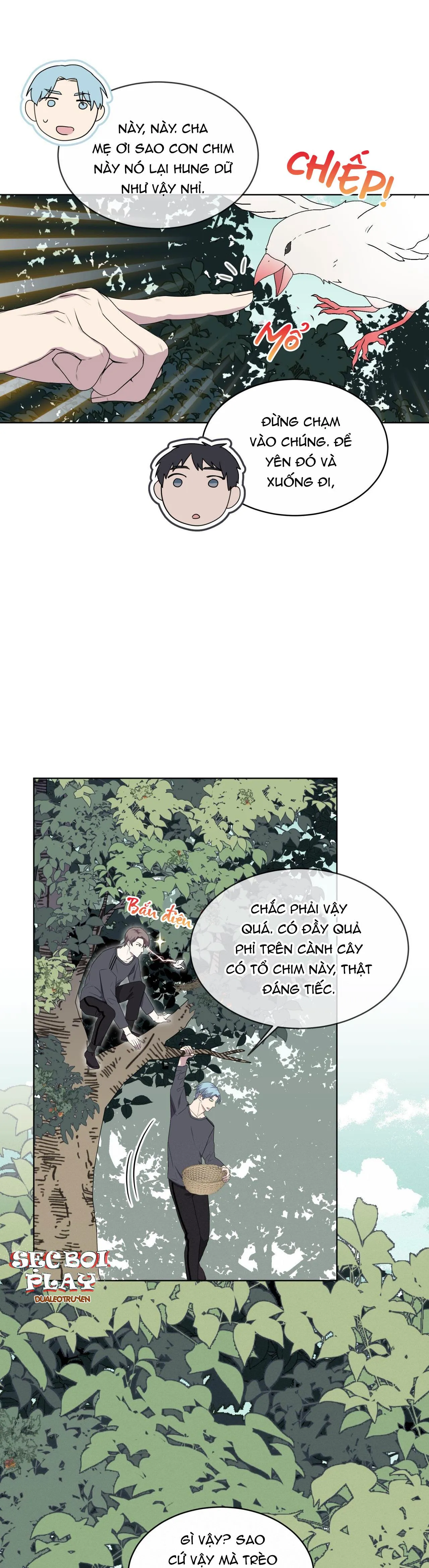Rừng Biển Chapter 24 Trang 5