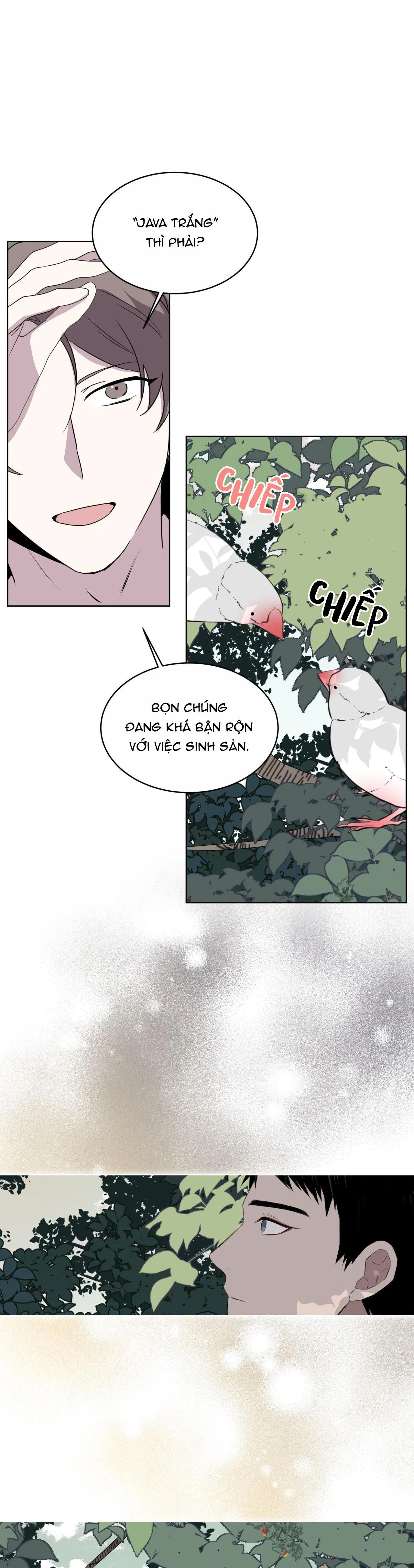 Rừng Biển Chapter 24 Trang 29