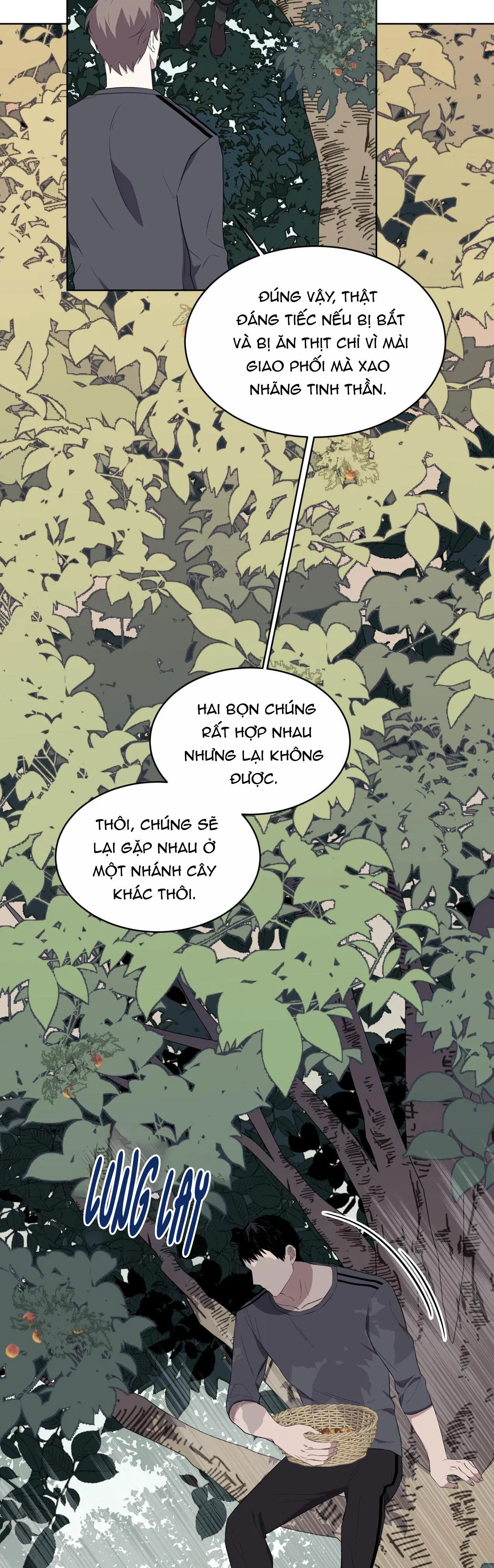 Rừng Biển Chapter 24 Trang 33