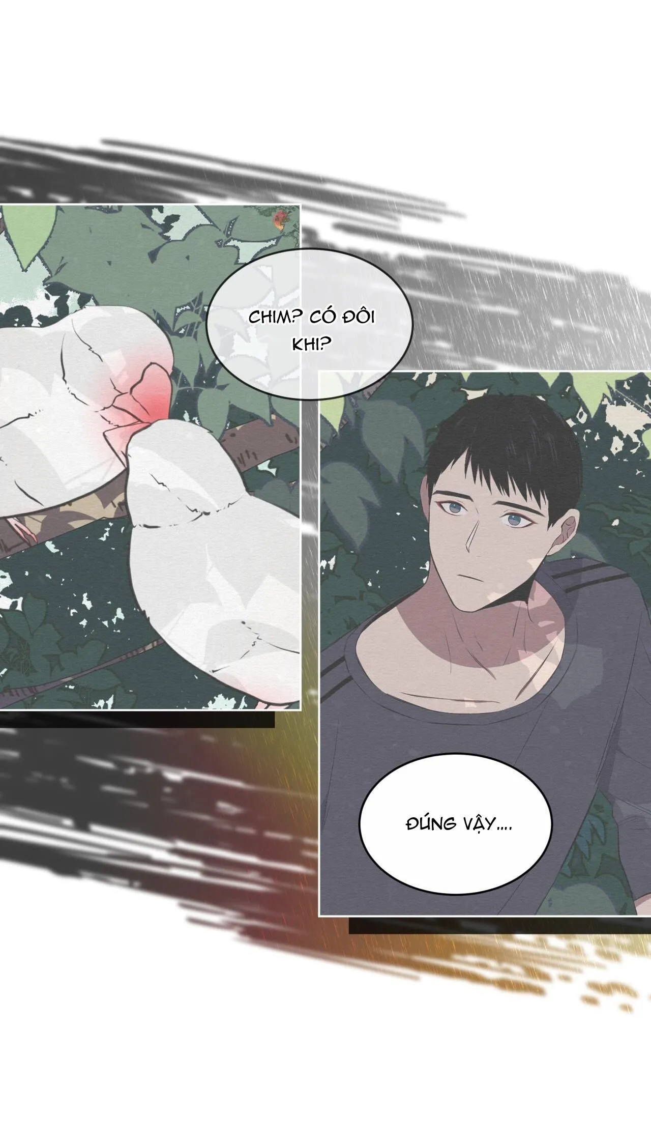 Rừng Biển Chapter 25 Trang 27