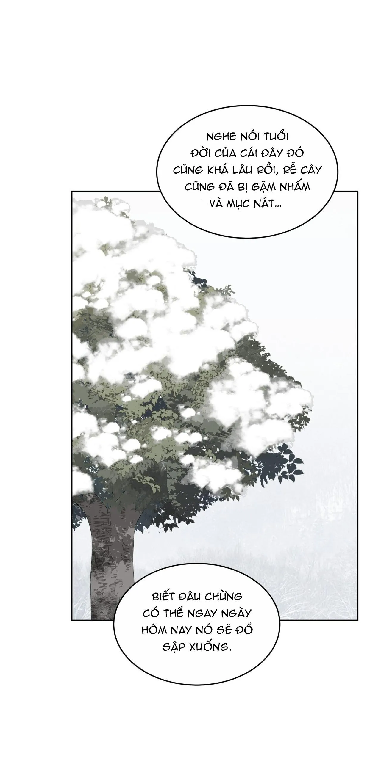 Rừng Biển Chapter 30 Trang 52