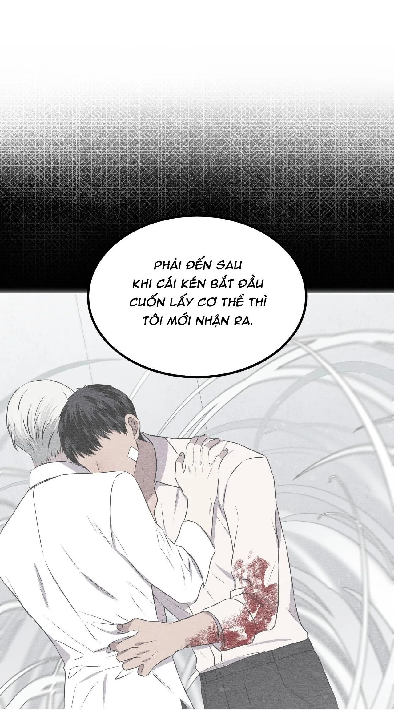 Rừng Biển Chapter 38 Trang 29