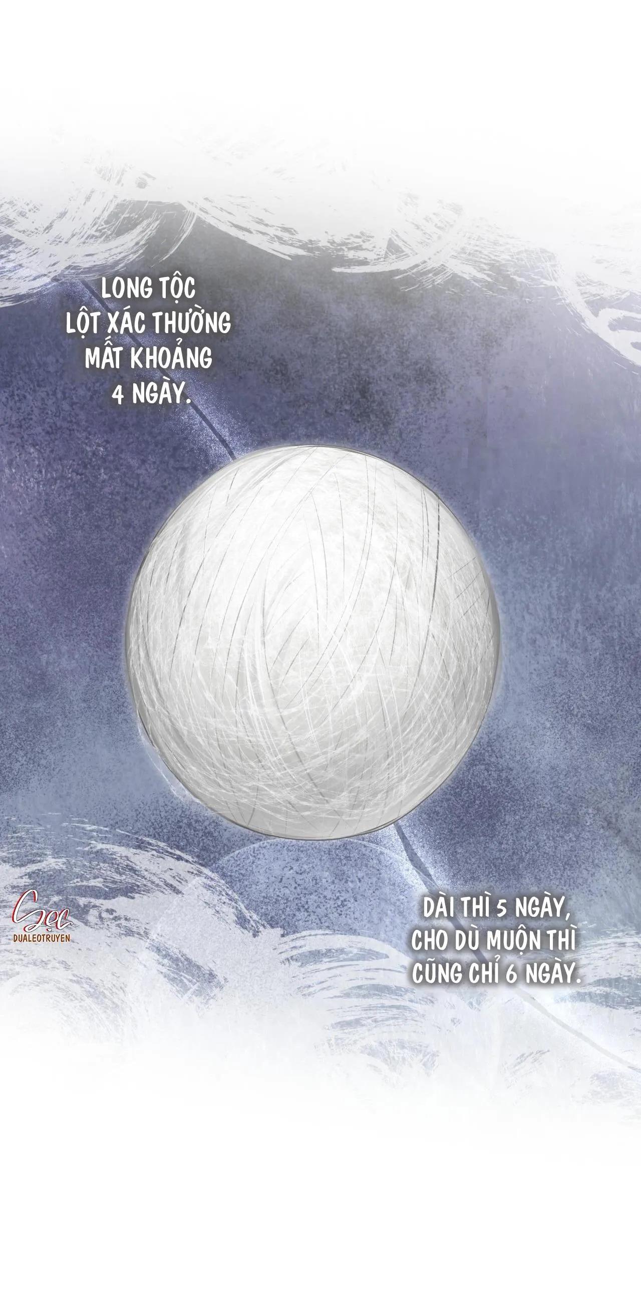 Rừng Biển Chapter 42 Trang 6