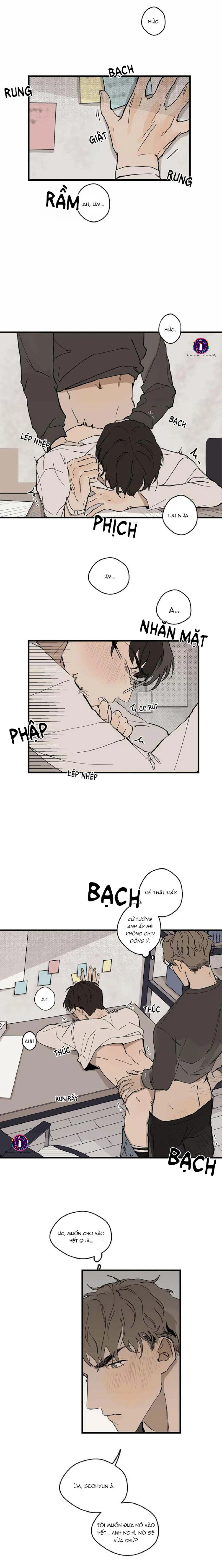 Runway Hit (END) Chapter 16 Trang 11