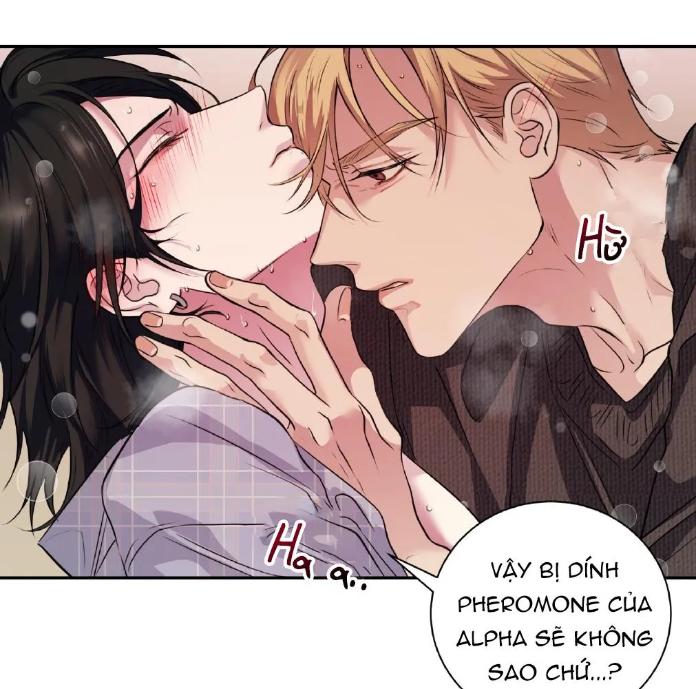 Rut Là Gì Vậy Chứ? Chapter 5 Trang 218