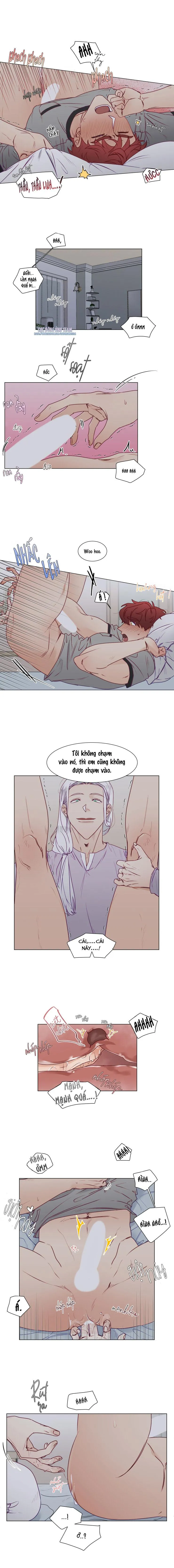 S của thần linh hay S của sự bạo dâm ? Chapter 11 Trang 6