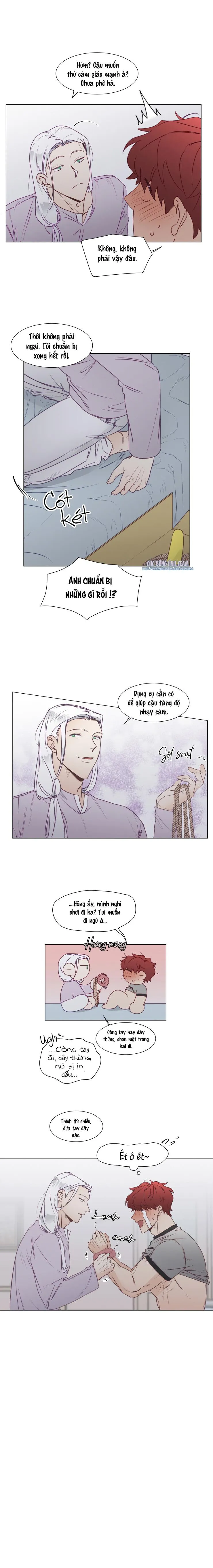 S của thần linh hay S của sự bạo dâm ? Chapter 11 Trang 9