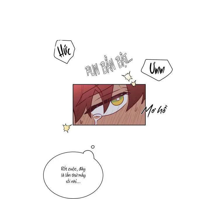 S của thần linh hay S của sự bạo dâm ? Chapter 12 Trang 4