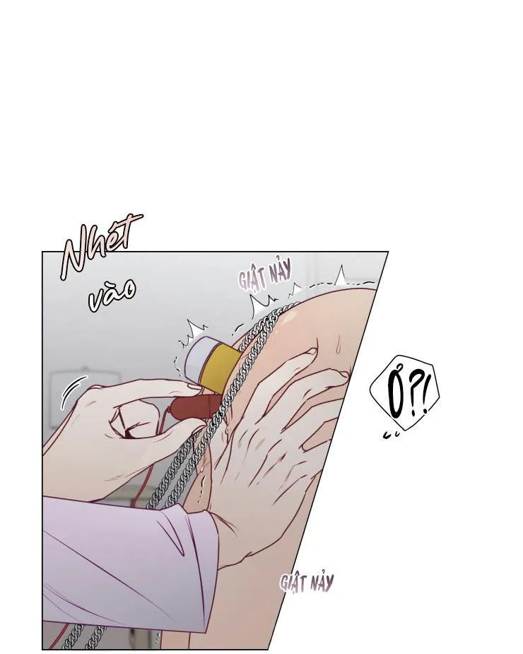 S của thần linh hay S của sự bạo dâm ? Chapter 12 Trang 7