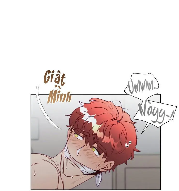 S của thần linh hay S của sự bạo dâm ? Chapter 12 Trang 8