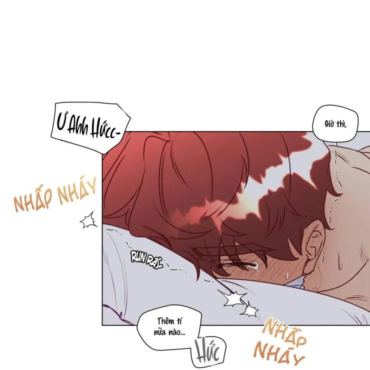 S của thần linh hay S của sự bạo dâm ? Chapter 12 Trang 13