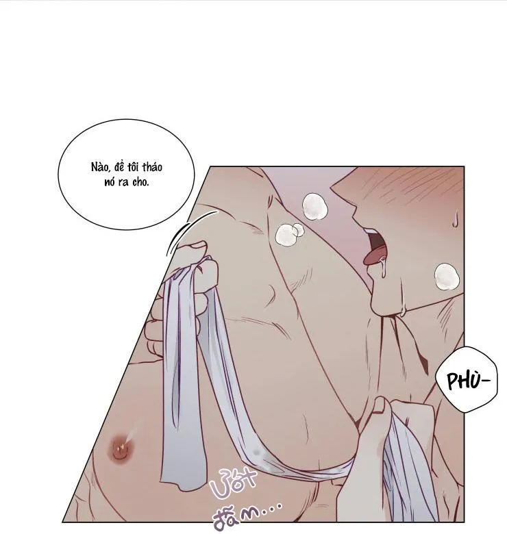 S của thần linh hay S của sự bạo dâm ? Chapter 12 Trang 18