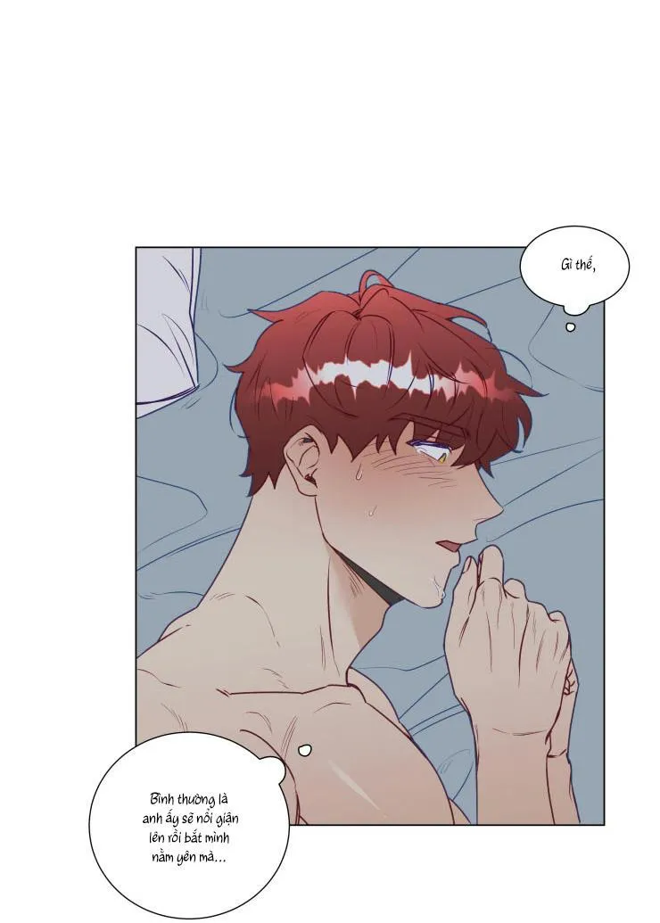 S của thần linh hay S của sự bạo dâm ? Chapter 12 Trang 26