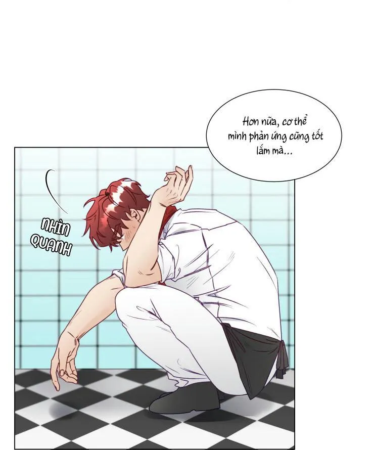 S của thần linh hay S của sự bạo dâm ? Chapter 12 Trang 46