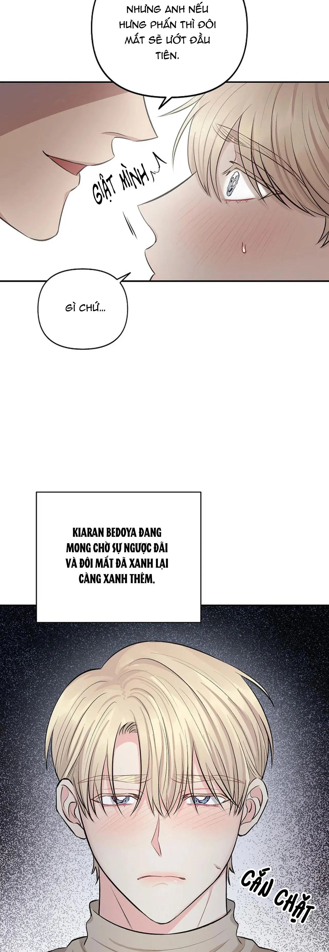 SẮC ĐÊM Chapter 10 Trang 13