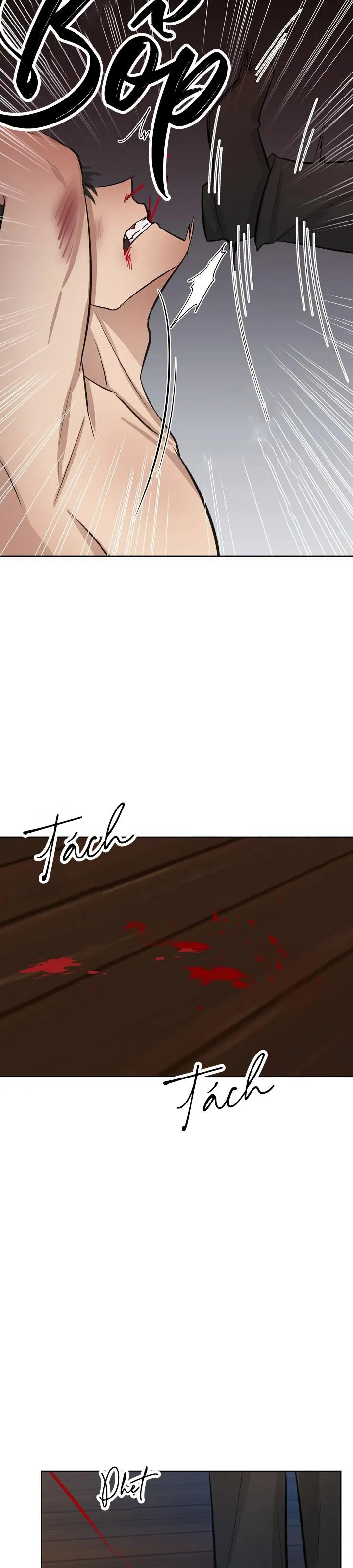 SẮC ĐÊM Chapter 35 Trang 24