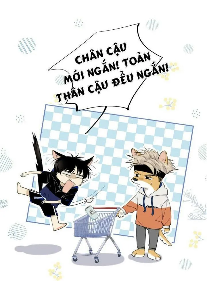 SẮC ĐỎ Chapter 15 Trang 5