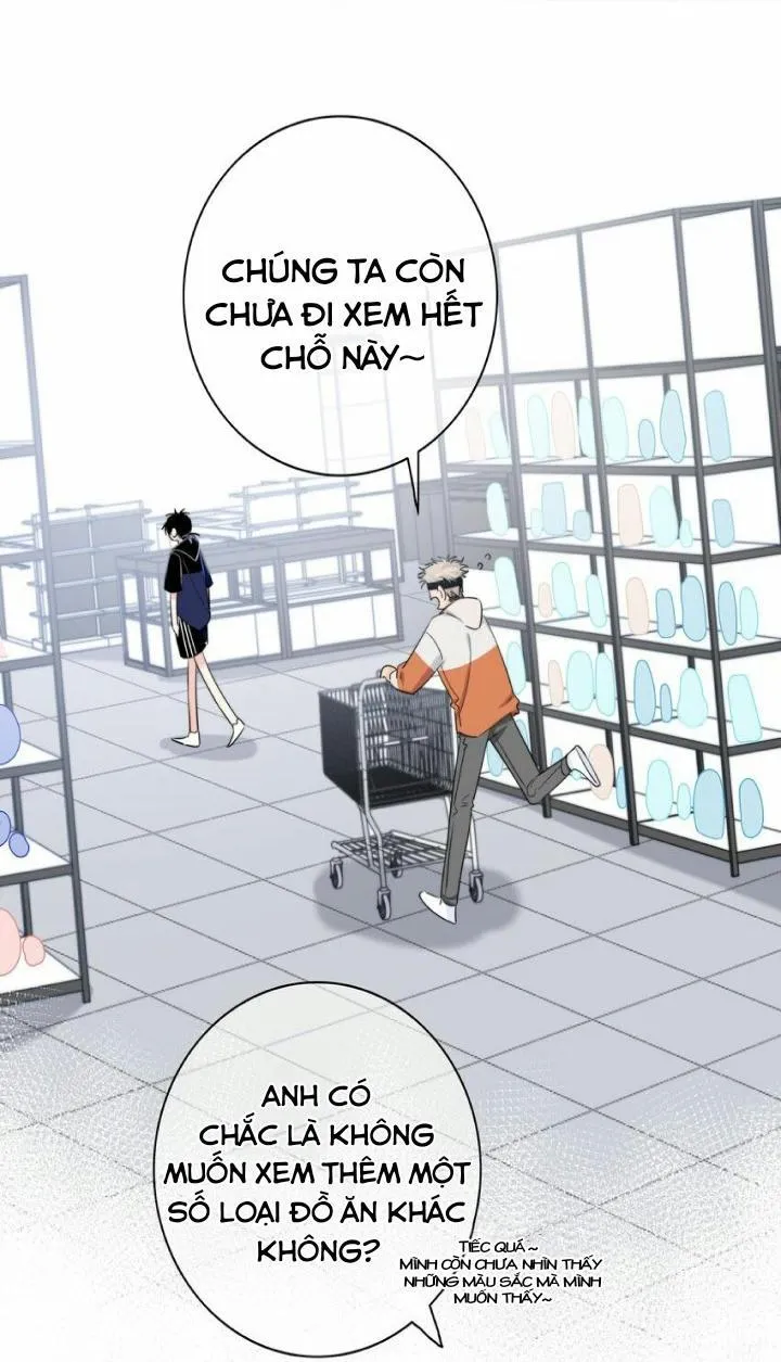 SẮC ĐỎ Chapter 15 Trang 13