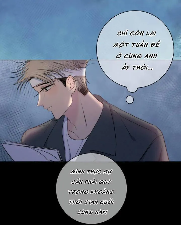 SẮC ĐỎ Chapter 19 Trang 4