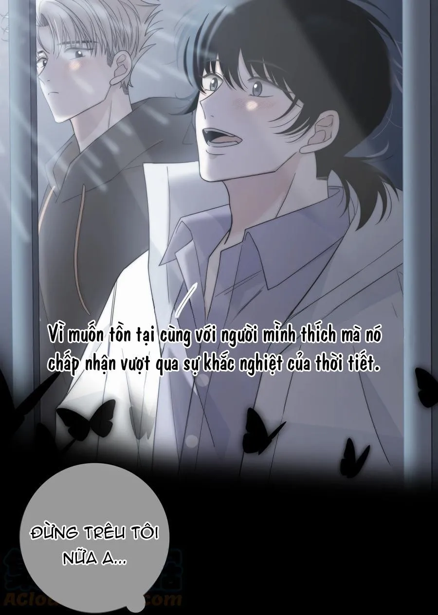 SẮC ĐỎ Chapter 61 Trang 20