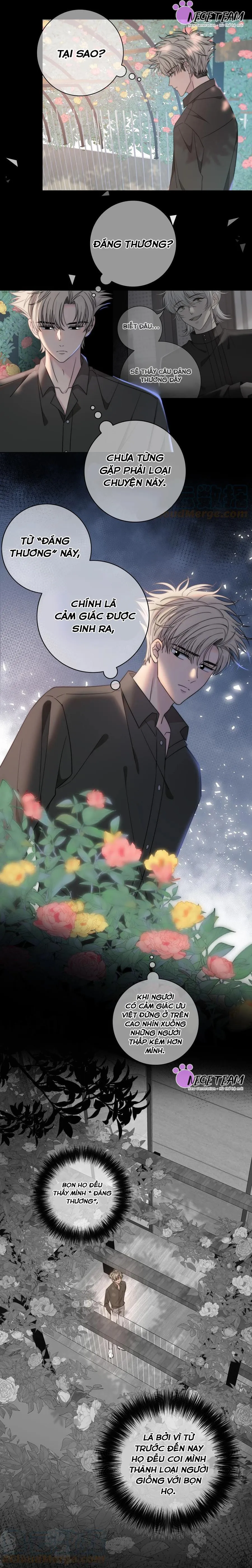 SẮC ĐỎ Chapter 63 Trang 20