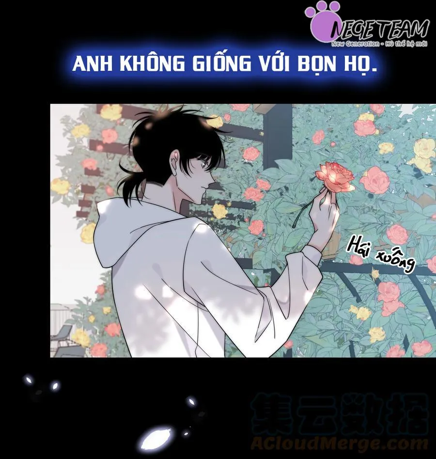 SẮC ĐỎ Chapter 63 Trang 23