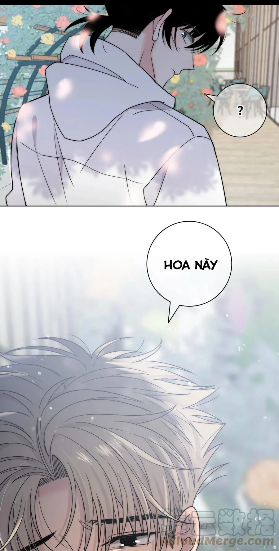 SẮC ĐỎ Chapter 63 Trang 32