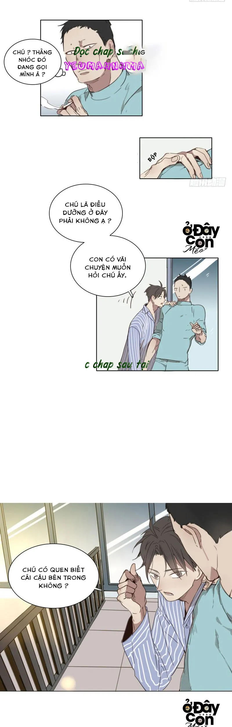 Sắc Thái Trầm Lặng Chapter 4 Trang 4