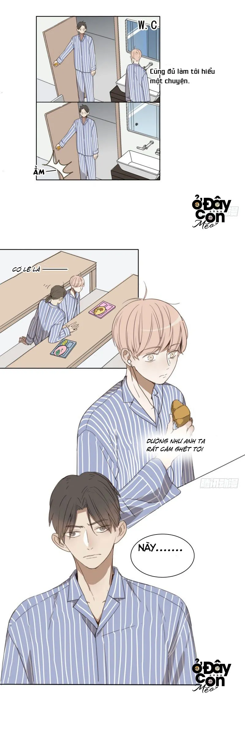 Sắc Thái Trầm Lặng Chapter 4 Trang 11