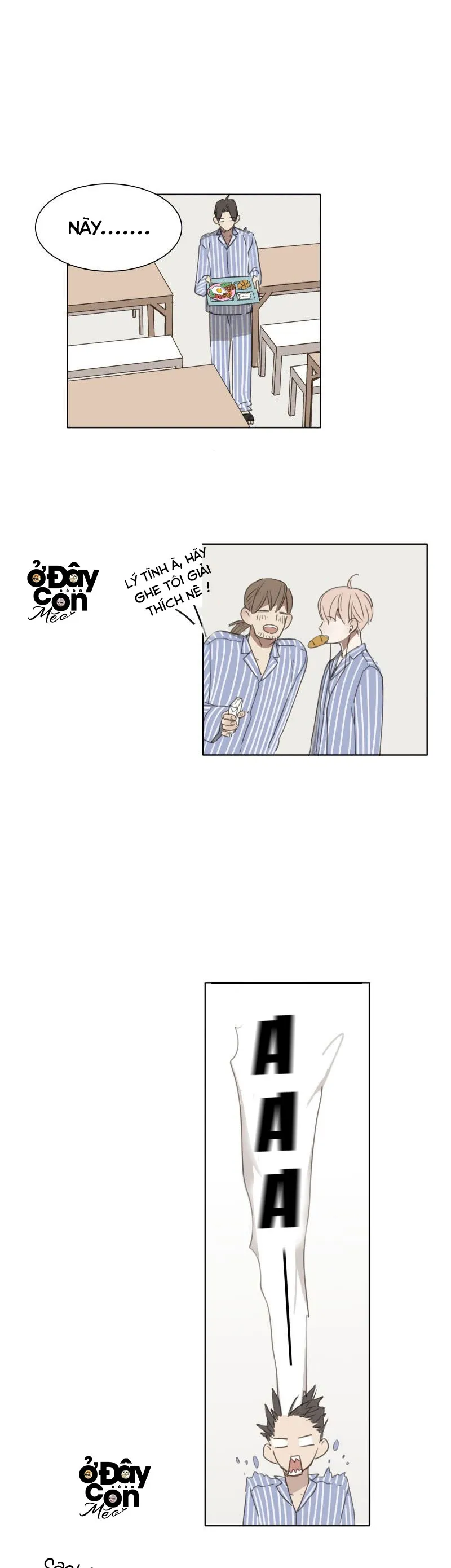 Sắc Thái Trầm Lặng Chapter 4 Trang 12