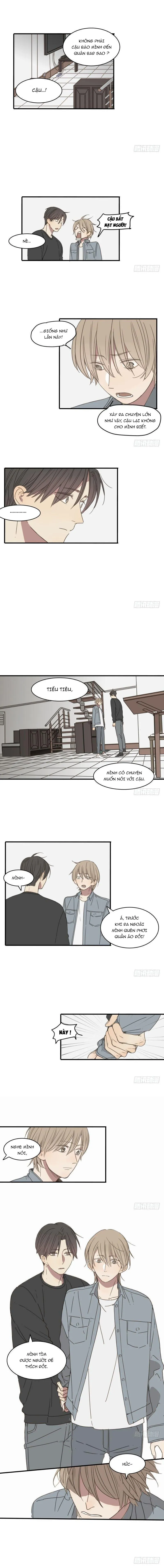 Sắc Thái Trầm Lặng Chapter 16 Trang 3